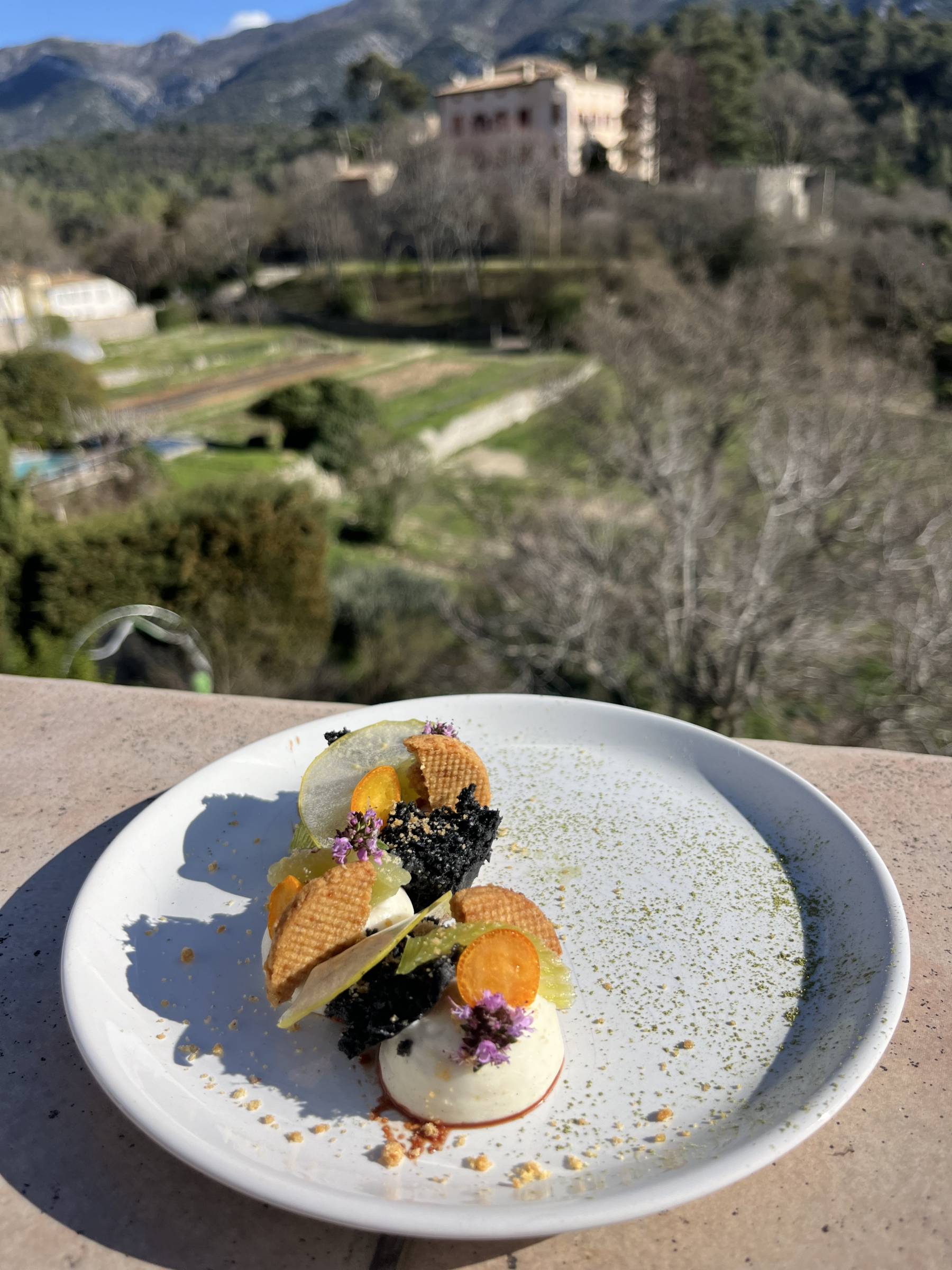 Vue panoramique des Alpilles, cadre idéal pour une retraite de yoga